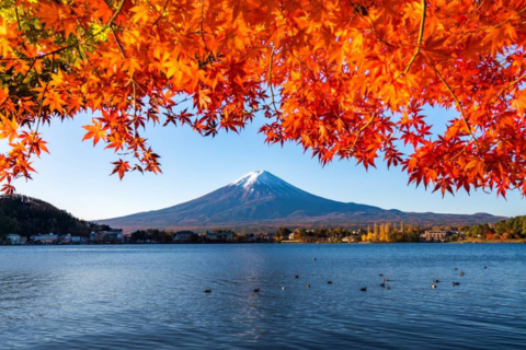 Fuji Classic Day Tour | 1 – Day Mt. Fuji Tour from Tokyo – Discover Japan’s Iconic Landmark