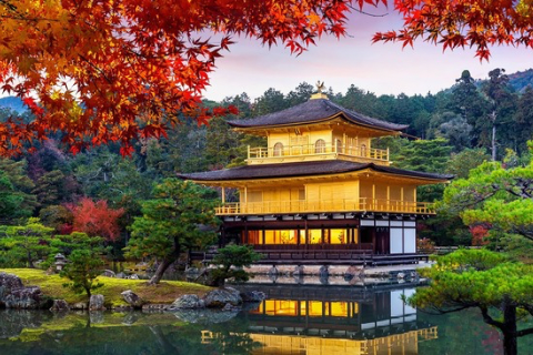 15 Days 14 Nights | Colors of Japan